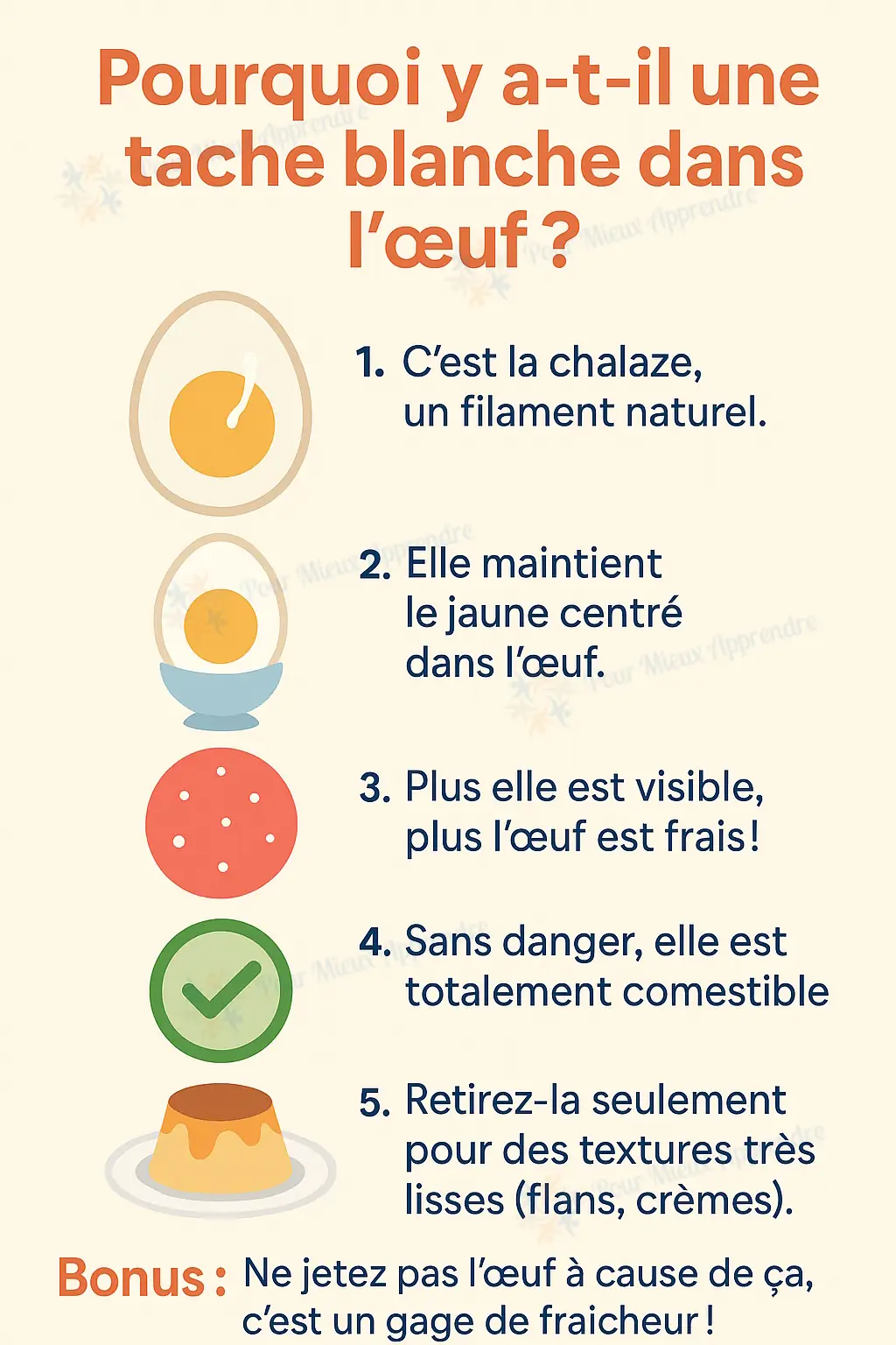 Faut-il retirer la chalaze de vos œufs pour certaines recettes?
