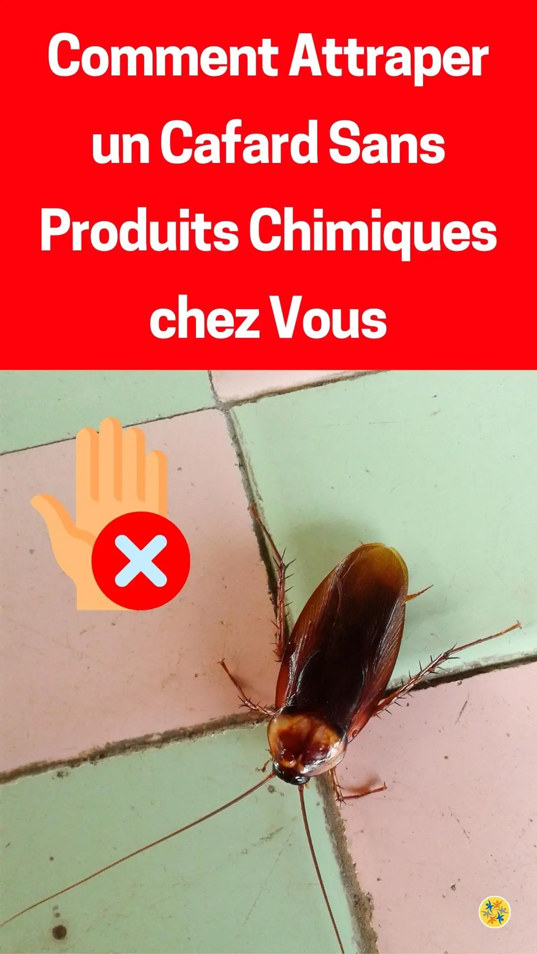 Solution pratique pour se débarrasser d'un cafard