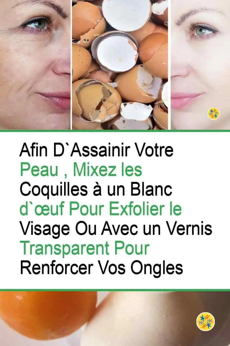 4 Idées pour Recycler les Coquilles d'Œufs Différentes et Surprenantes 4 Solutions esthétiques naturelles à base de coquilles