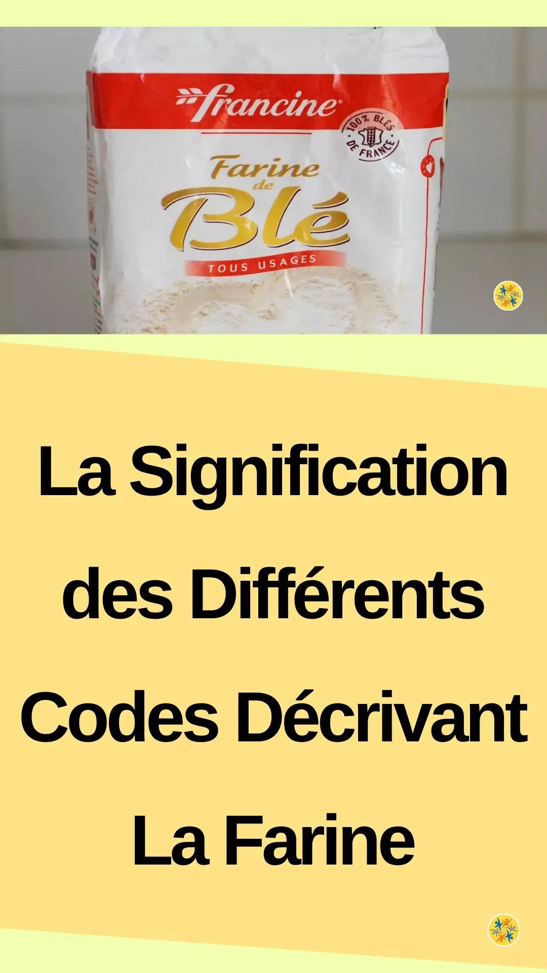 Les caractéristiques des différents types de la farine 