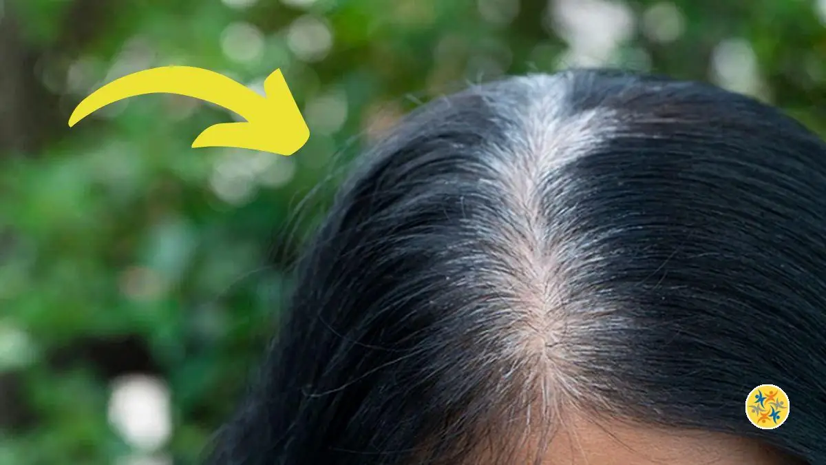 Teintures Naturelles pour Cheveux 2 Recettes à ne pas Louper