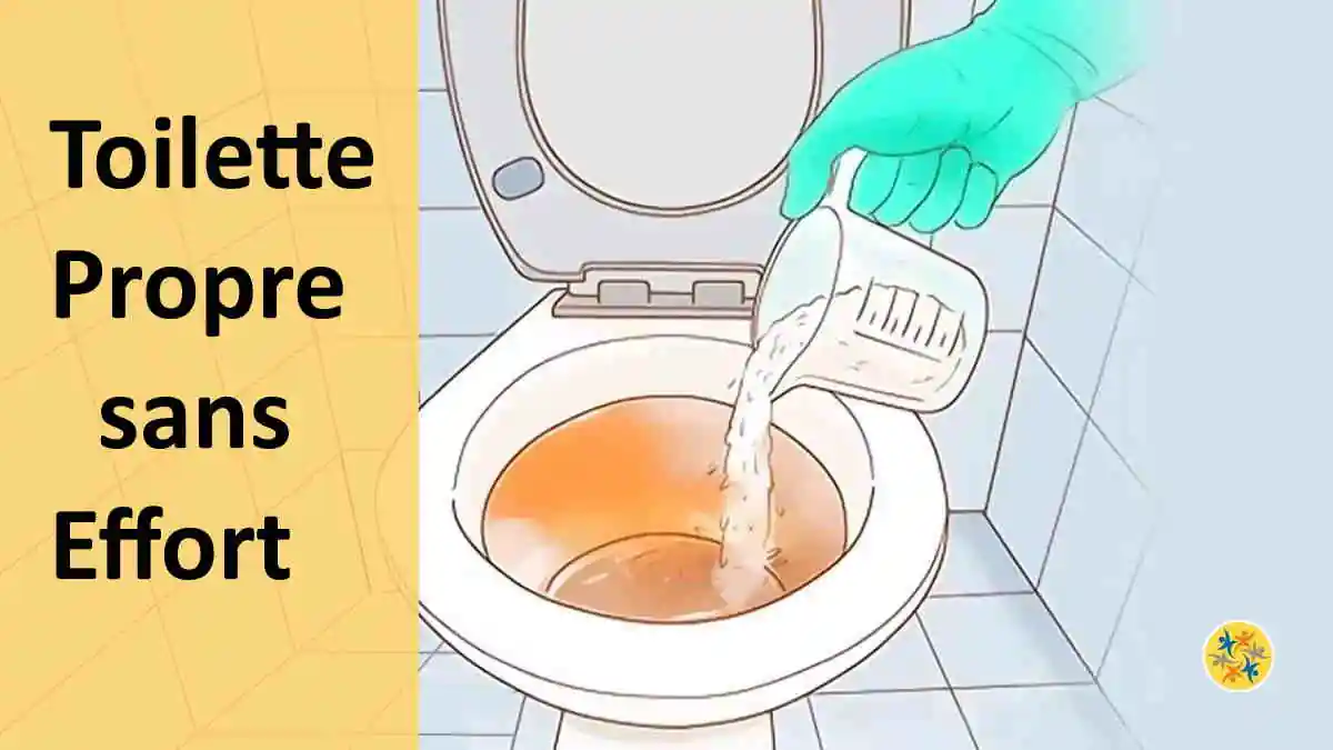 Nettoyer Le Fond De Votre Toilette Avec Du Vinaigre Blanc