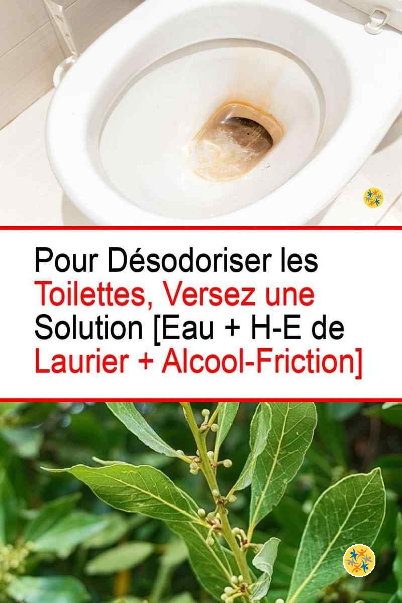 Désodoriser les toilettes avec les feuilles de laurier