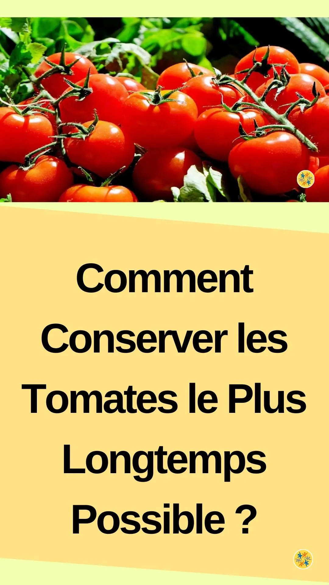 Astuce pour conserver les tomates le plus longtemps 