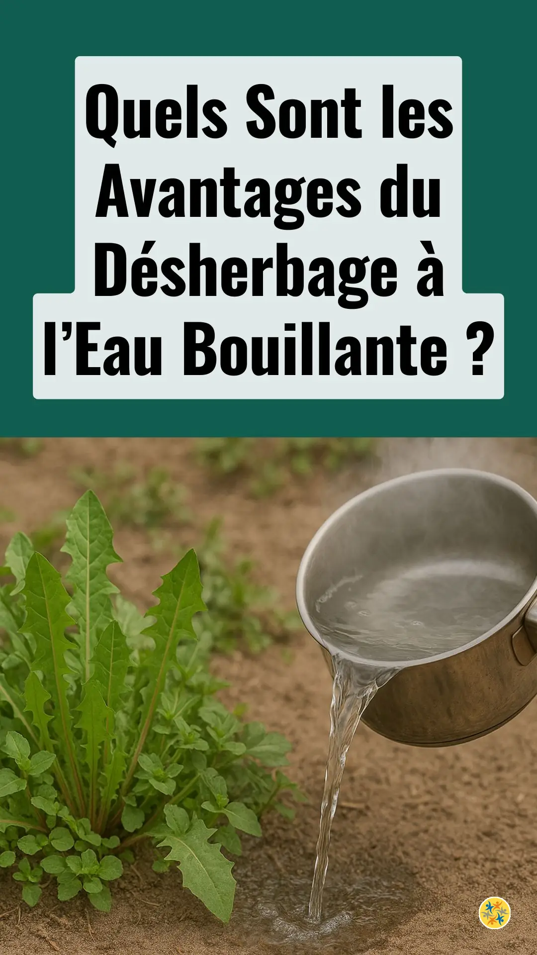 L'eau bouillante peut-elle vraiment désherber votre jardin ? 