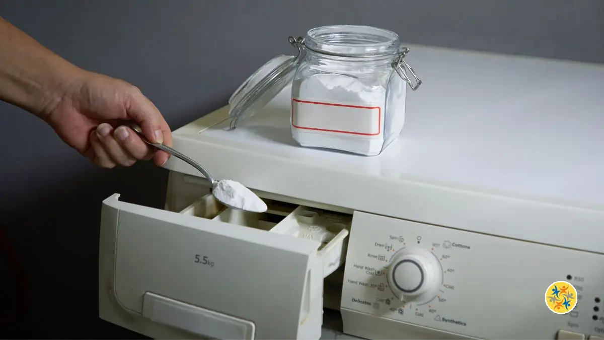 Mauvaises Odeurs dans le Linge ? C’est Votre Machine le Problème !