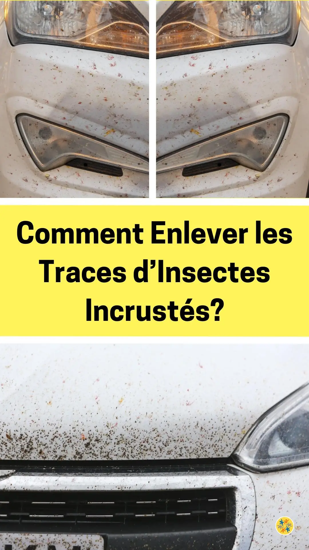 Enlever les insectes collés sur une voiture  