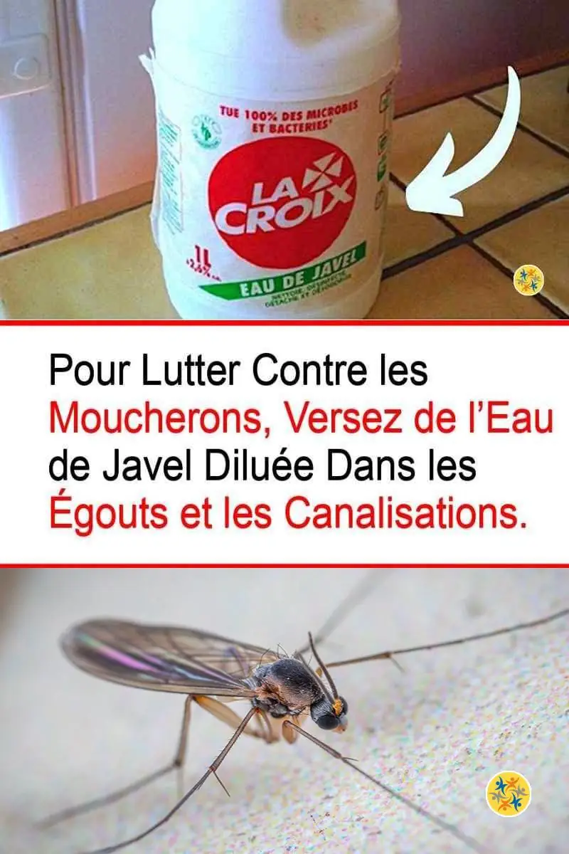 Lutter contre les moucherons avec l’eau de javel diluée