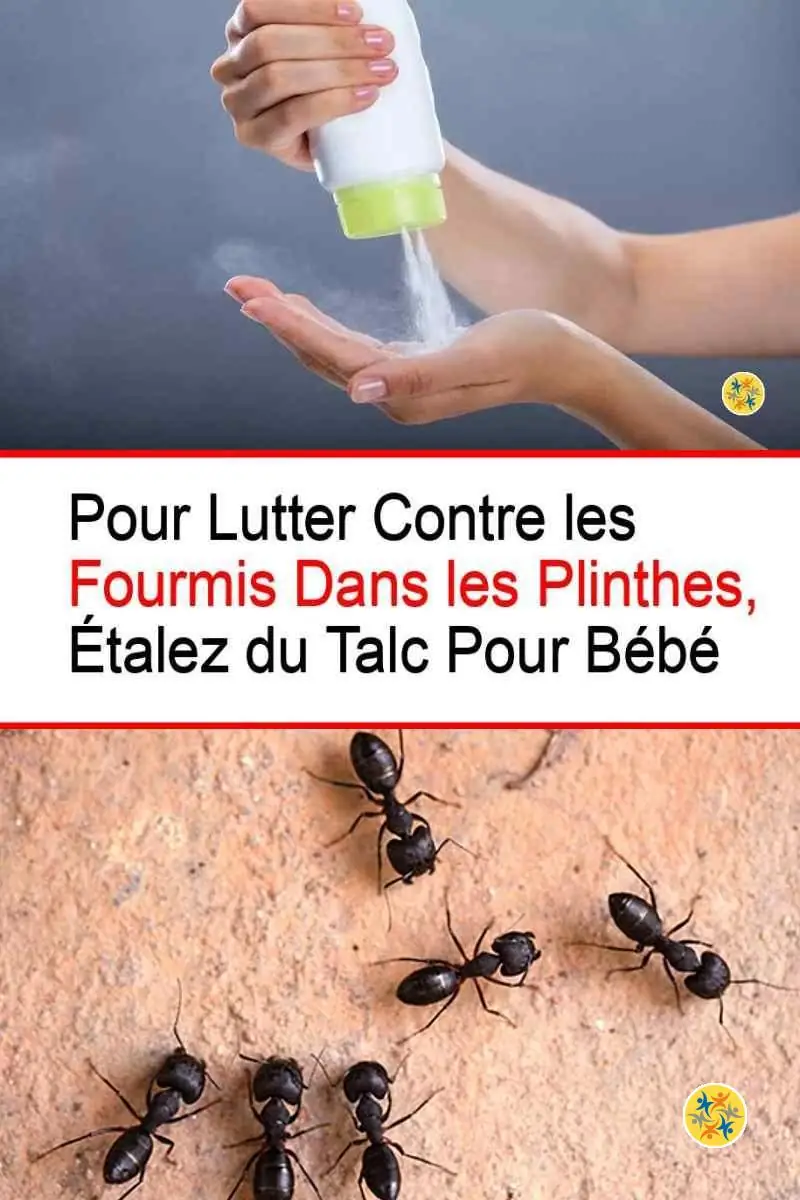 Lutter contre les fourmis dans les plinthes avec du talc