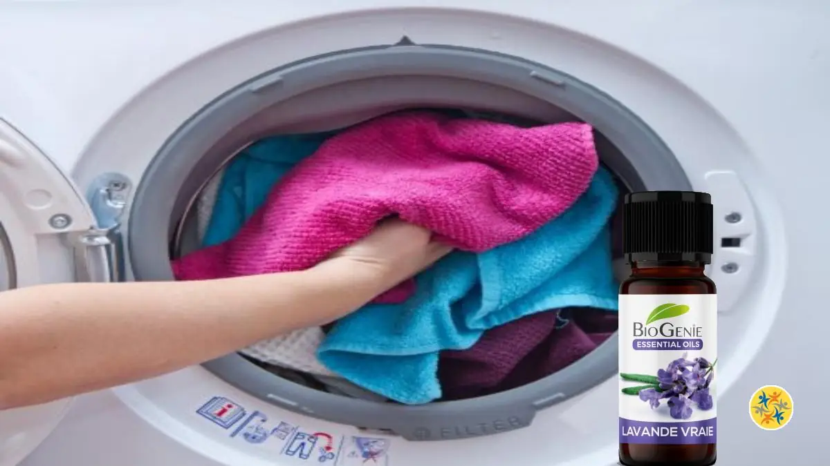 Le Truc Pour Avoir un Linge Qui Sent Bon Longtemps