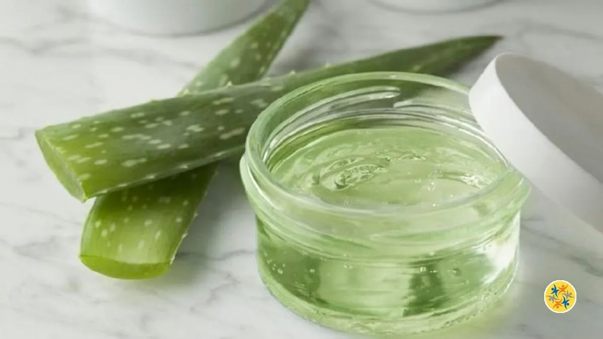 Comment Utiliser l’Aloe Vera Pour Faire son Propre Gel Maison