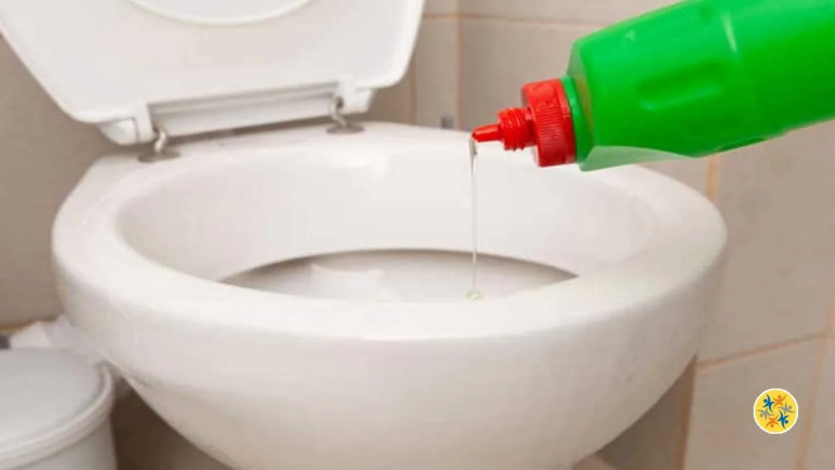 Comment Utiliser du Liquide Vaisselle pour Déboucher vos Toilettes