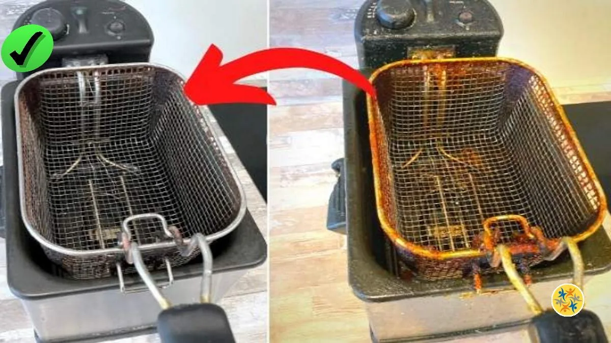 Dégraisser une friteuse électrique très encrassée avec 6 astuces