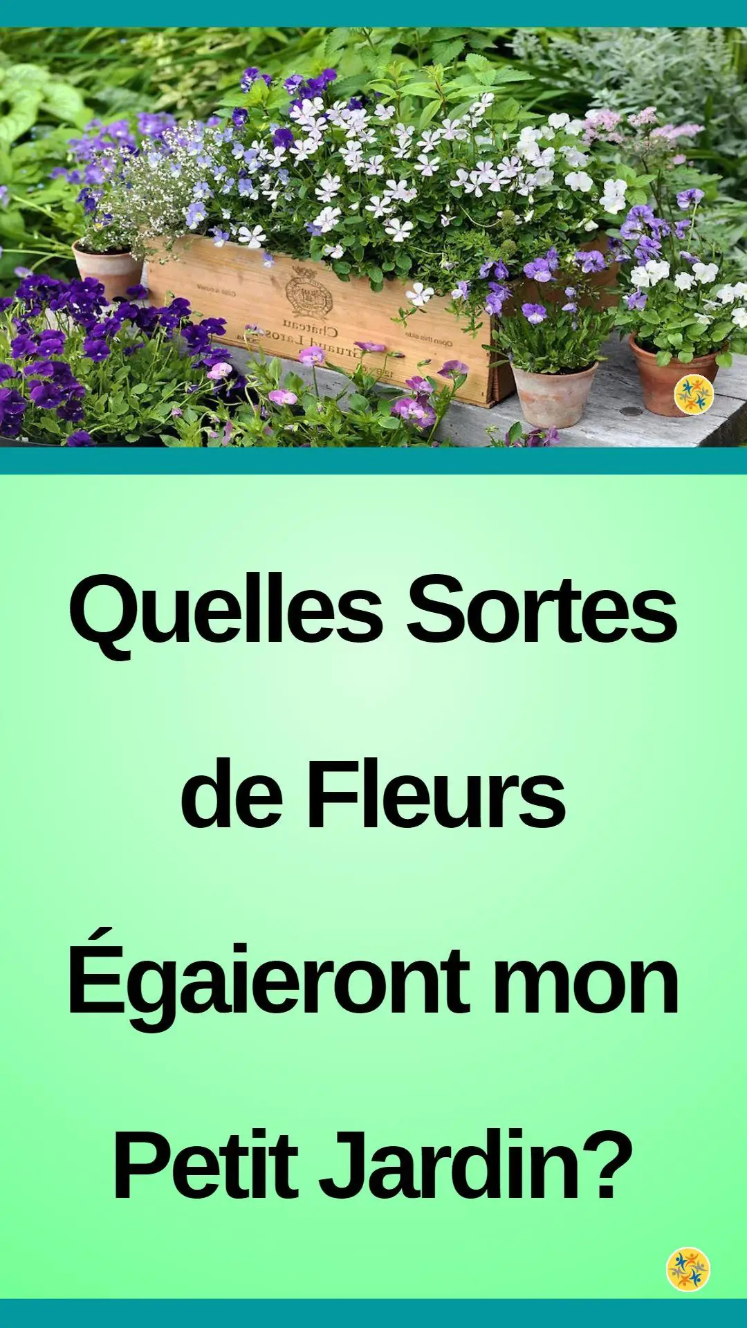 Plantes colorées pour un balcon plus joyeux 