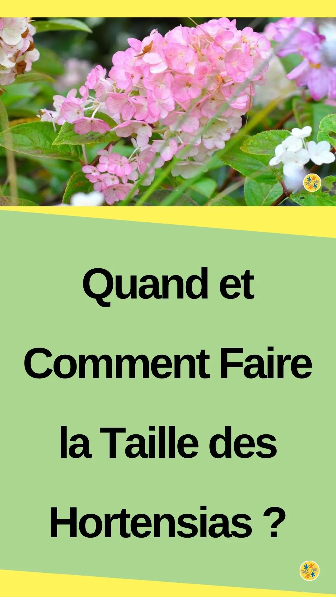 Conseils pour faire la taille des hortensias 