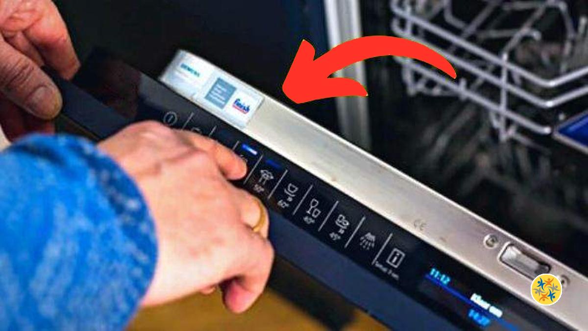 Usage de Lavevaisselle et 5 Conseils pour Économiser