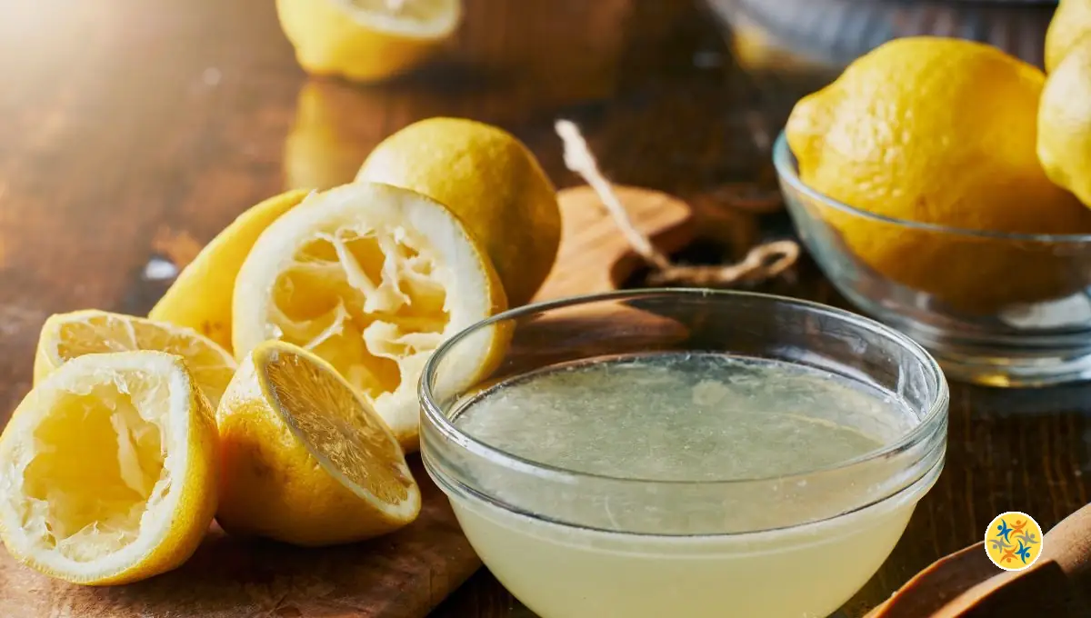 Les Utilisations du Citron au Quotidien