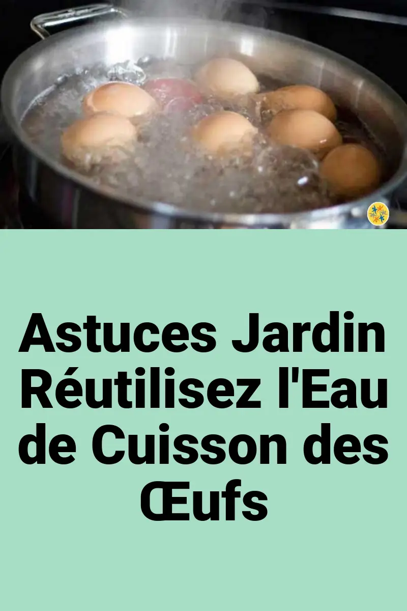 Utilisation de l’eau de cuisson des œufs 