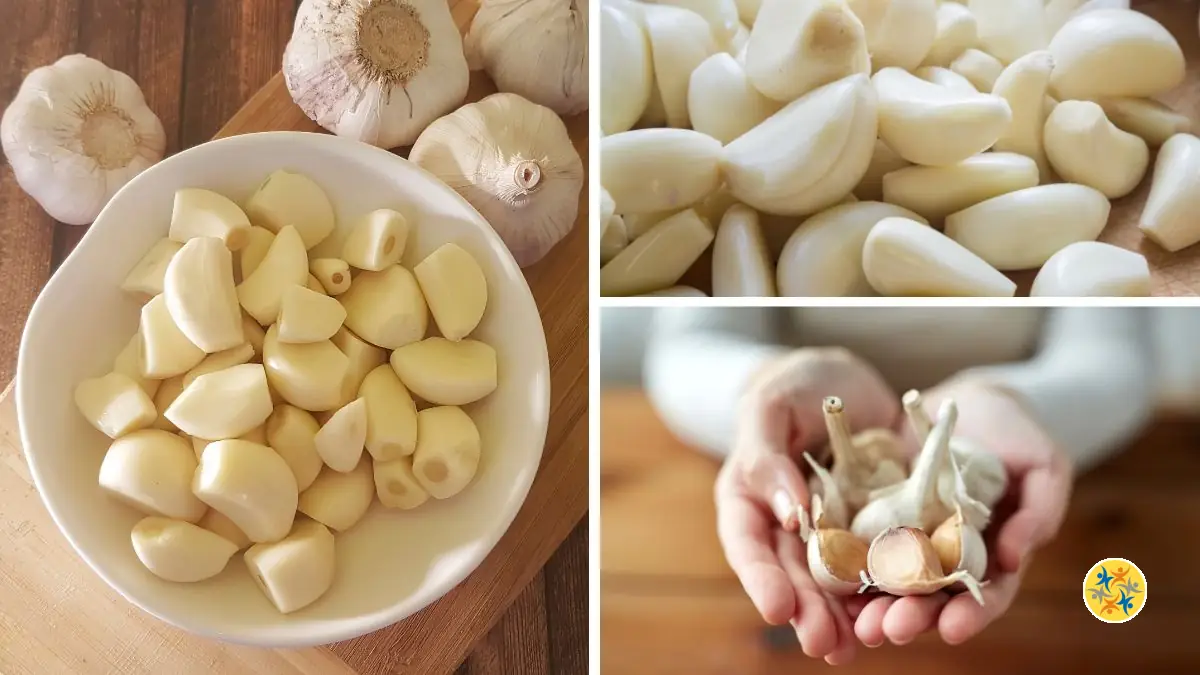 5 Utilisations simples des pelures d’ail à la maison
