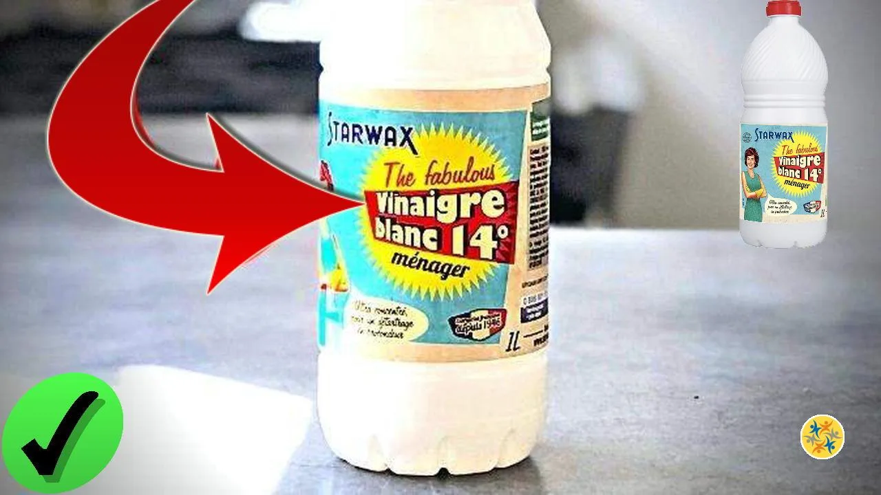 Le Vinaigre Blanc à 14 Degrés : 11 Utilisations A Connaitre