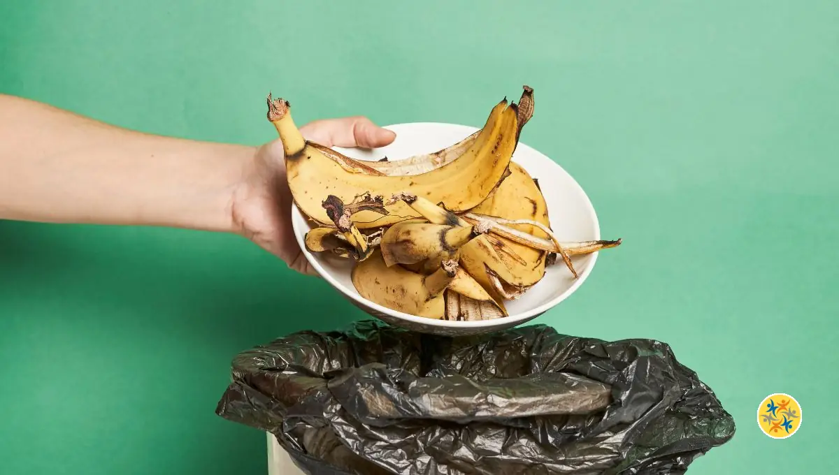 Les Utilisations Écologiques des Pelures de Banane