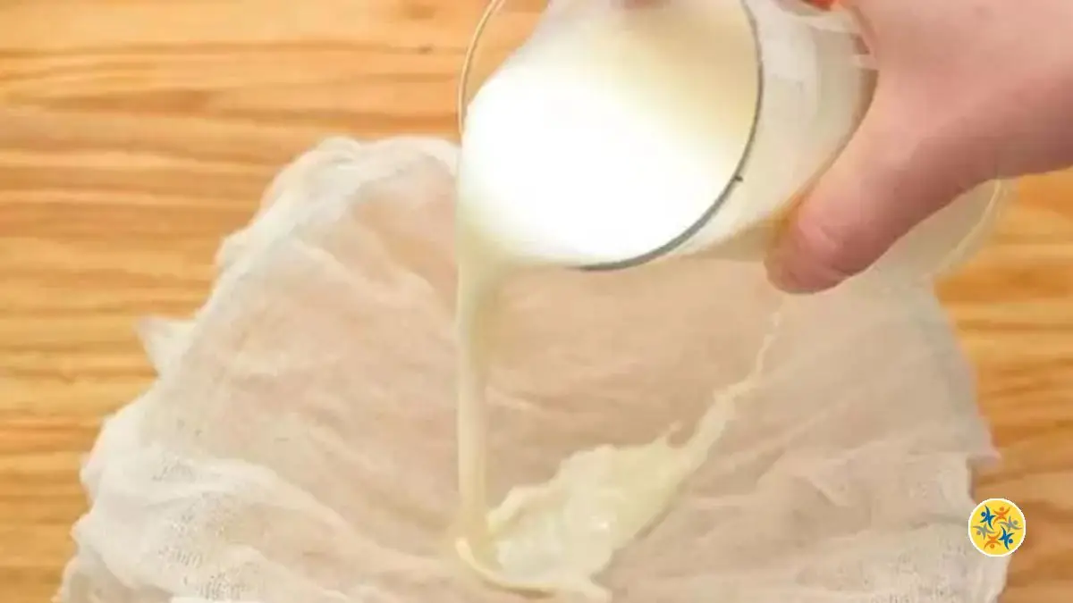 8 Utilisations du Lait Périmé Que Vous Devez Connaitre