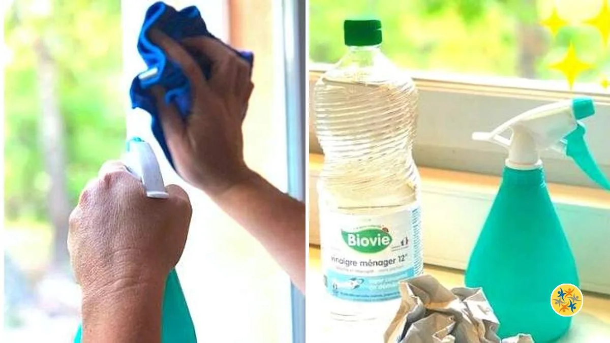 Spray D'huile D'olive 200 Ml - Qualité Alimentaire, Facile à Utiliser En Cuisine - 3