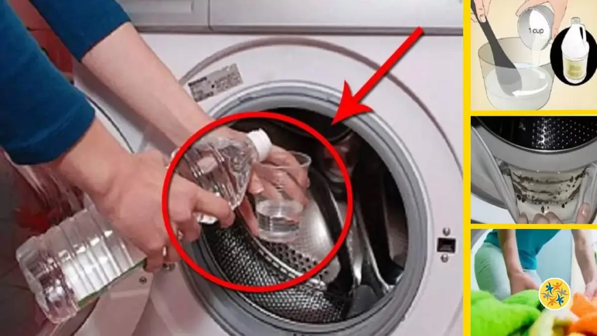 3 Utilisations Importantes de Vinaigre Blanc Dans la Machine à Laver